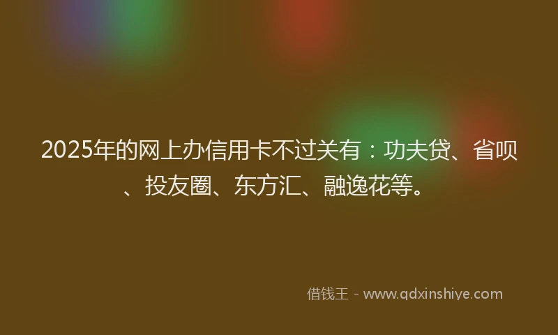 2025年的网上办信用卡不过关有：功夫贷、省呗、投友圈、东方汇、融逸花等。