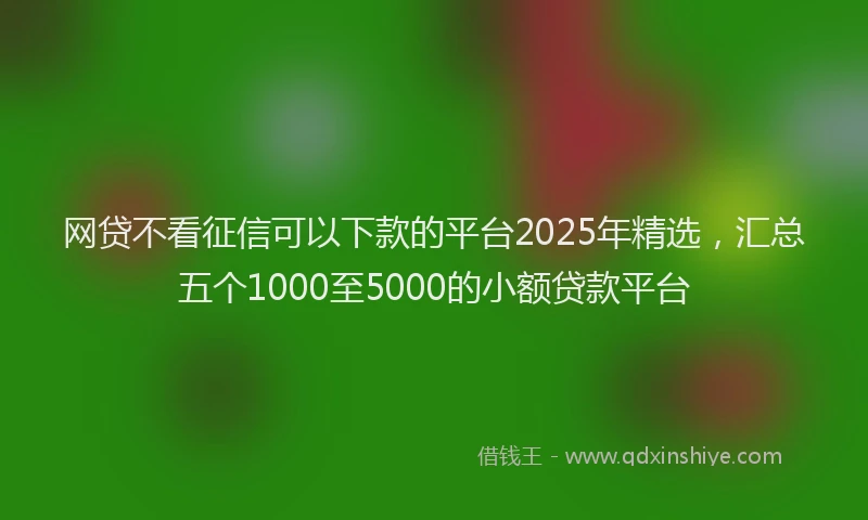 网贷不看征信可以下款的平台2025年精选，汇总五个1000至5000的小额贷款平台