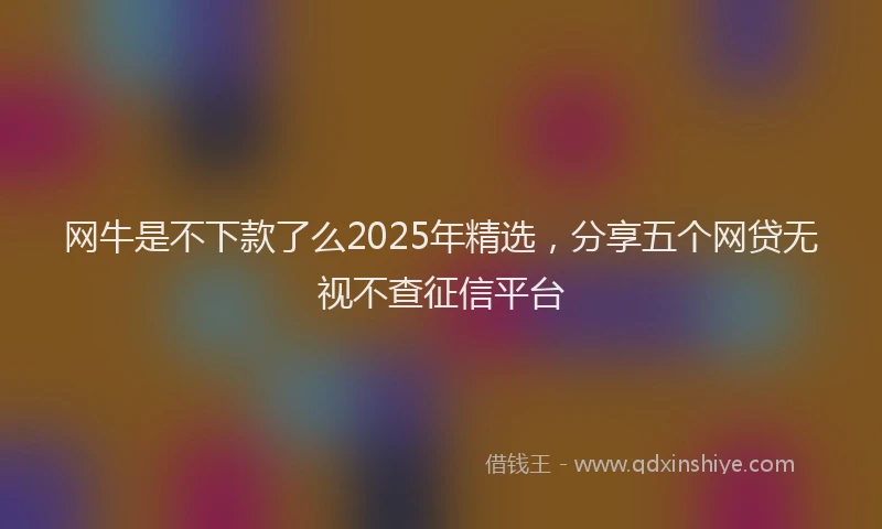 网牛是不下款了么2025年精选,分享五个网贷无视不查征信平台