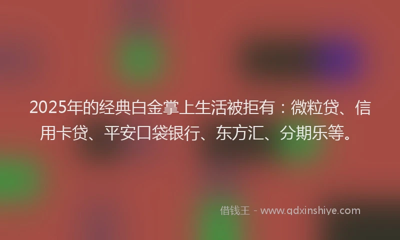 2025年的经典白金掌上生活被拒有：微粒贷、信用卡贷、平安口袋银行、东方汇、分期乐等。