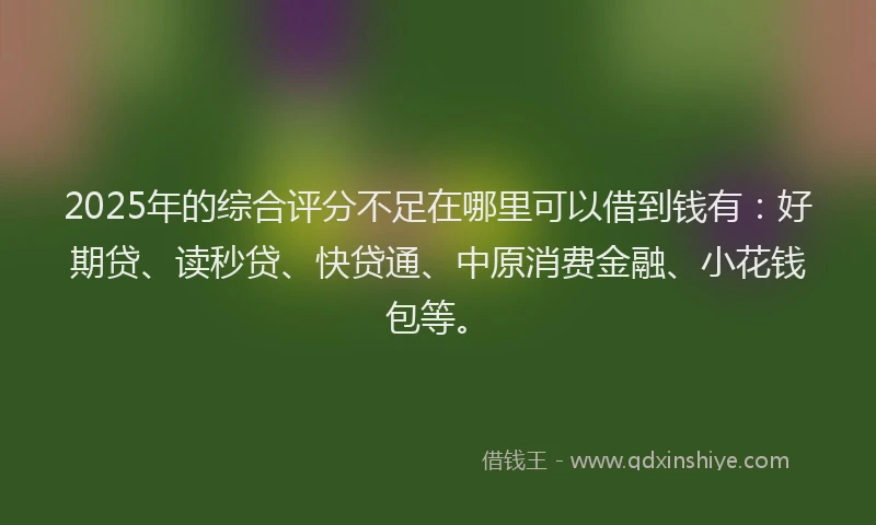 2025年的综合评分不足在哪里可以借到钱有：好期贷、读秒贷、快贷通、中原消费金融、小花钱包等。