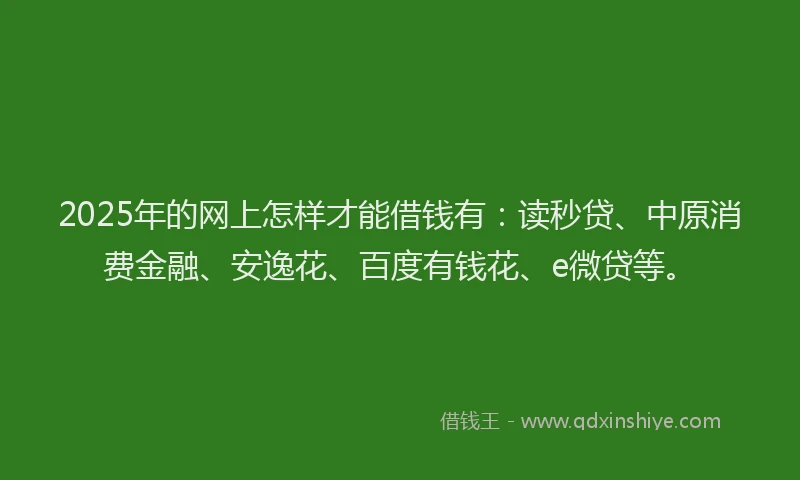 2025年的网上怎样才能借钱有：读秒贷、中原消费金融、安逸花、百度有钱花、e微贷等。