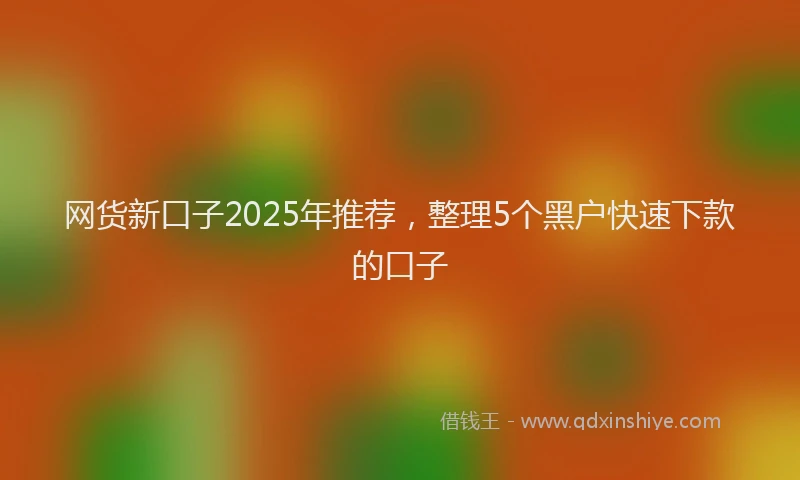 网货新口子2025年推荐，整理5个黑户快速下款的口子