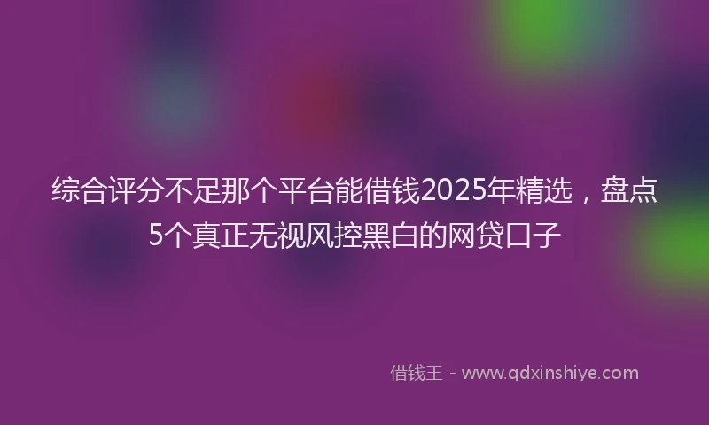 综合评分不足那个平台能借钱2025年精选，盘点5个真正无视风控黑白的网贷口子