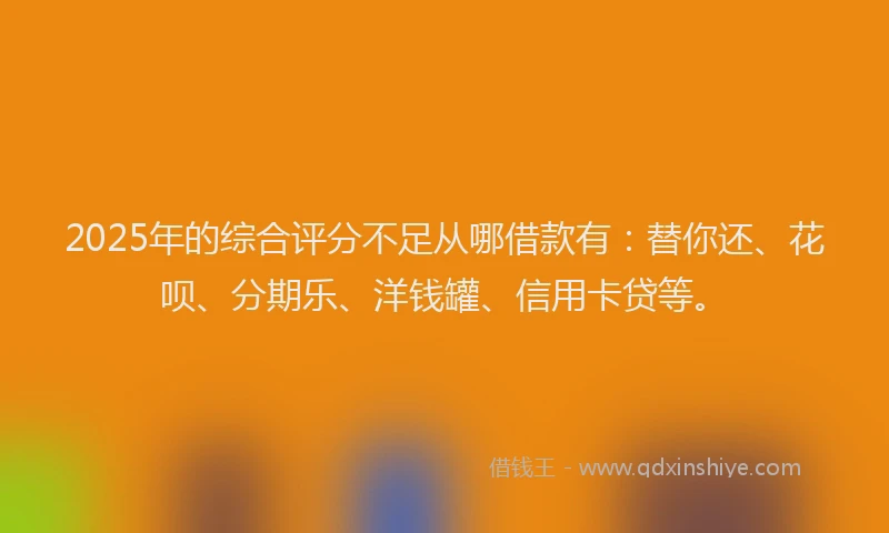 2025年的综合评分不足从哪借款有：替你还、花呗、分期乐、洋钱罐、信用卡贷等。
