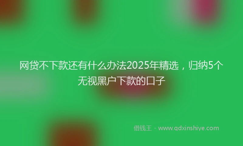 网贷不下款还有什么办法2025年精选，归纳5个无视黑户下款的口子