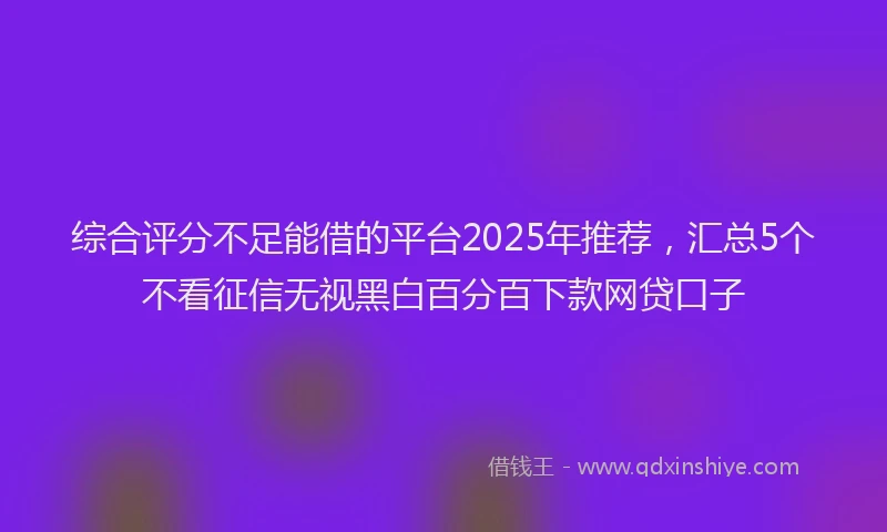 综合评分不足能借的平台2025年推荐，汇总5个不看征信无视黑白百分百下款网贷口子