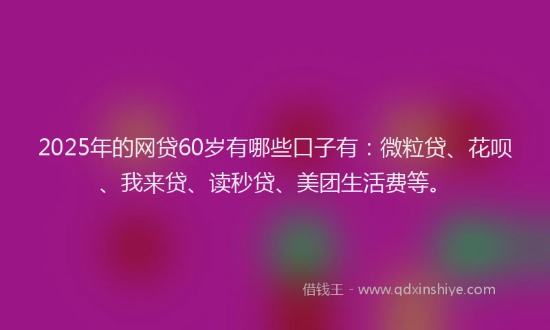 2025年的网贷60岁有哪些口子有：微粒贷、花呗、我来贷、读秒贷、美团生活费等。