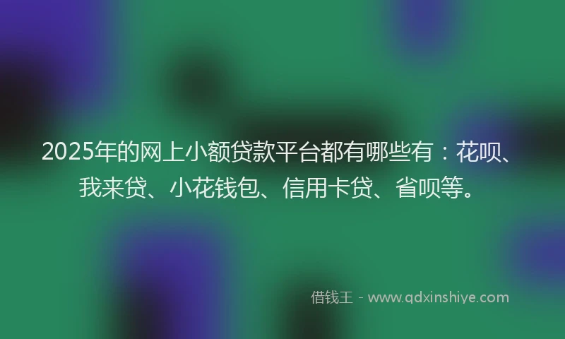 2025年的网上小额贷款平台都有哪些有：花呗、我来贷、小花钱包、信用卡贷、省呗等。