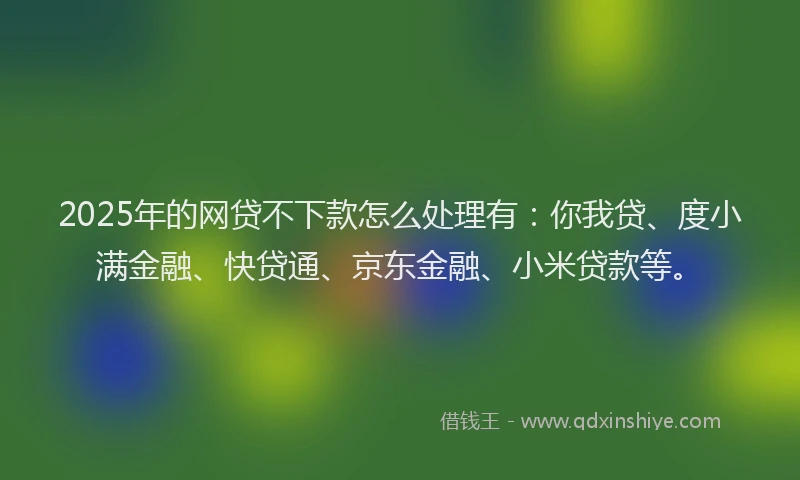 2025年的网贷不下款怎么处理有：你我贷、度小满金融、快贷通、京东金融、小米贷款等。