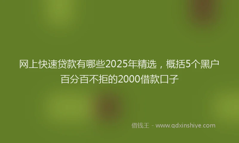 网上快速贷款有哪些2025年精选，概括5个黑户百分百不拒的2000借款口子