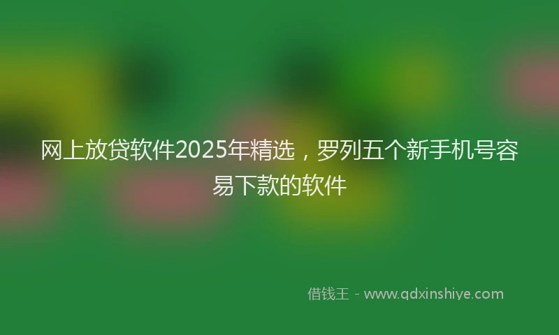 网上放贷软件2025年精选，罗列五个新手机号容易下款的软件