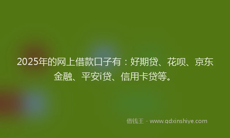 2025年的网上借款口子有：好期贷、花呗、京东金融、平安i贷、信用卡贷等。