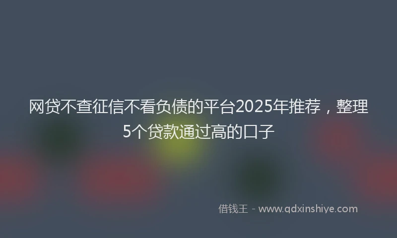 网贷不查征信不看负债的平台2025年推荐，整理5个贷款通过高的口子