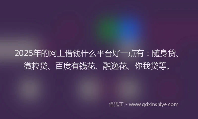 2025年的网上借钱什么平台好一点有：随身贷、微粒贷、百度有钱花、融逸花、你我贷等。