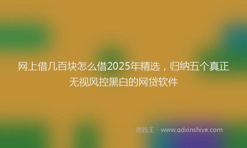 网上借几百块怎么借2025年精选，归纳五个真正无视风控黑白的网贷软件