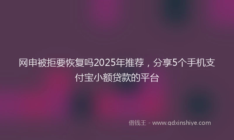 网申被拒要恢复吗2025年推荐，分享5个手机支付宝小额贷款的平台
