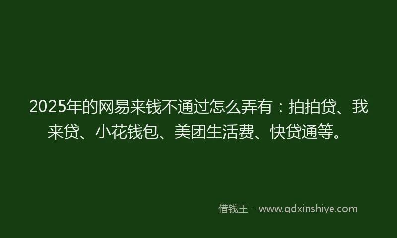 2025年的网易来钱不通过怎么弄有：拍拍贷、我来贷、小花钱包、美团生活费、快贷通等。