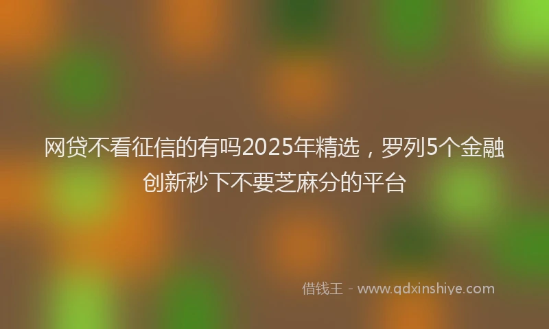 网贷不看征信的有吗2025年精选，罗列5个金融创新秒下不要芝麻分的平台