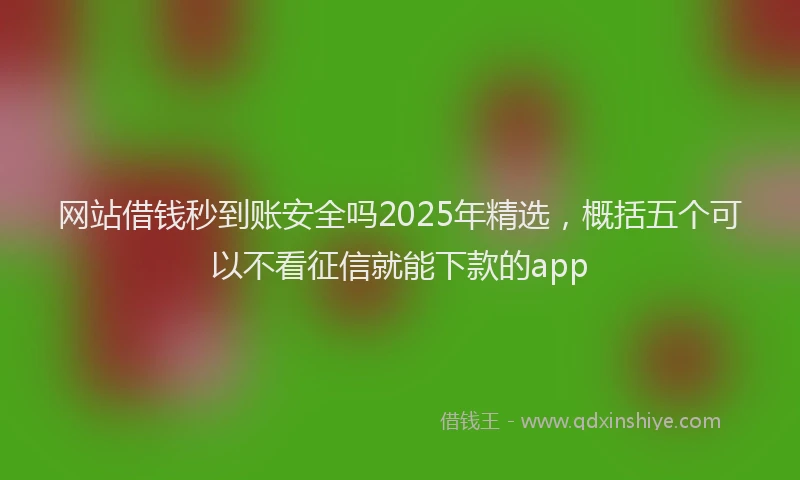 网站借钱秒到账安全吗2025年精选，概括五个可以不看征信就能下款的app