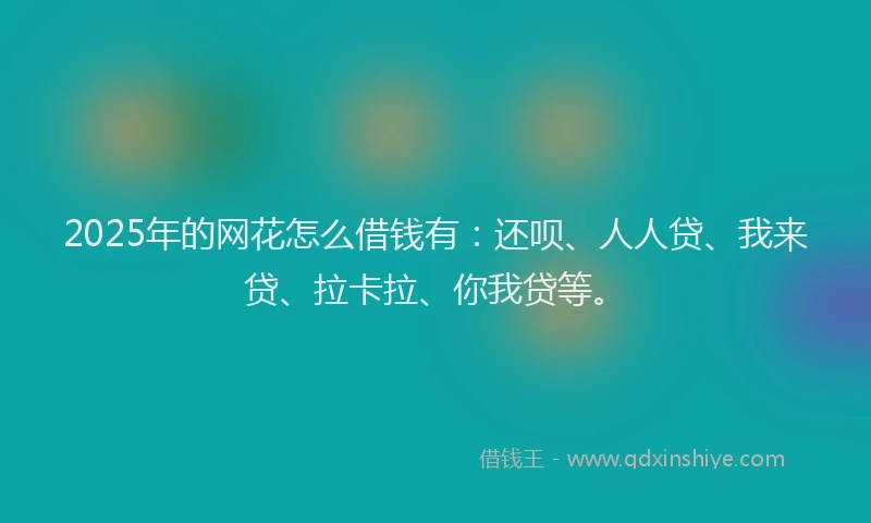 2025年的网花怎么借钱有：还呗、人人贷、我来贷、拉卡拉、你我贷等。