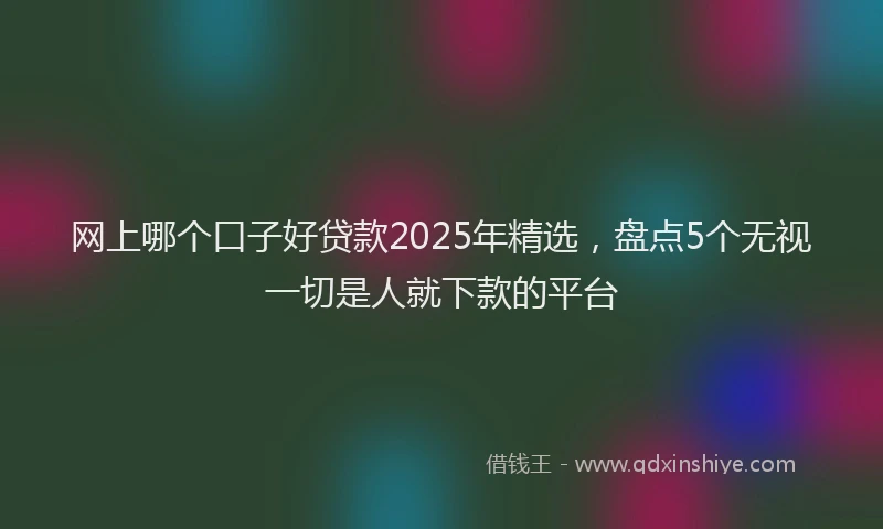 网上哪个口子好贷款2025年精选，盘点5个无视一切是人就下款的平台