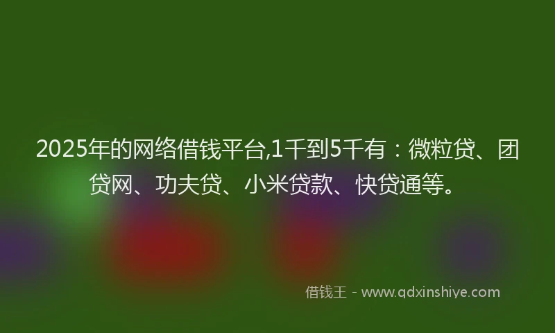 2025年的网络借钱平台,1千到5千有：微粒贷、团贷网、功夫贷、小米贷款、快贷通等。