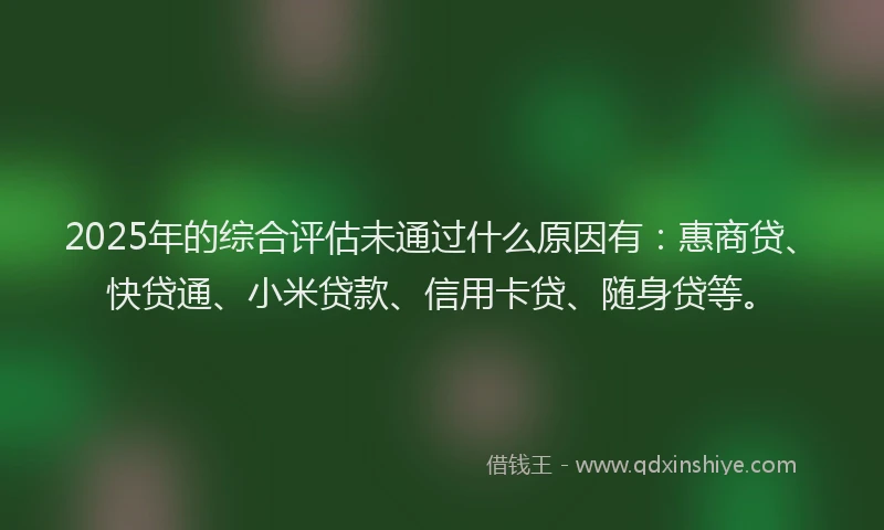 2025年的综合评估未通过什么原因有：惠商贷、快贷通、小米贷款、信用卡贷、随身贷等。