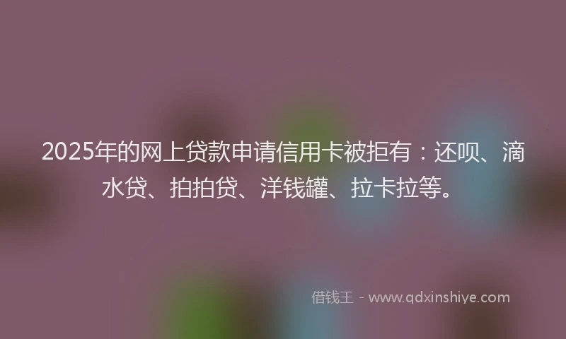 2025年的网上贷款申请信用卡被拒有：还呗、滴水贷、拍拍贷、洋钱罐、拉卡拉等。