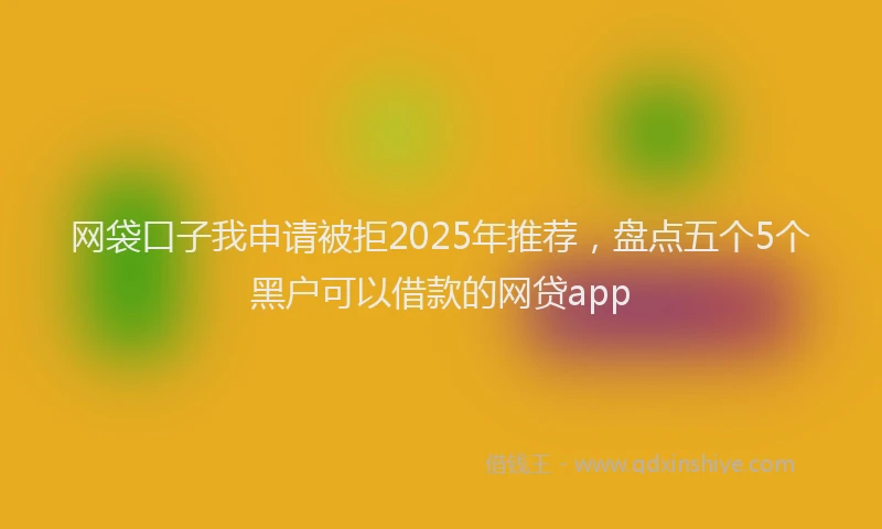 网袋口子我申请被拒2025年推荐，盘点五个5个黑户可以借款的网贷app