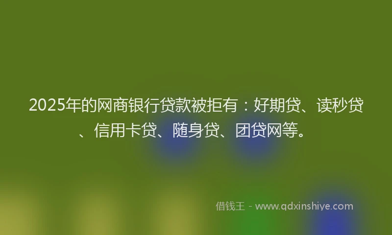 2025年的网商银行贷款被拒有：好期贷、读秒贷、信用卡贷、随身贷、团贷网等。