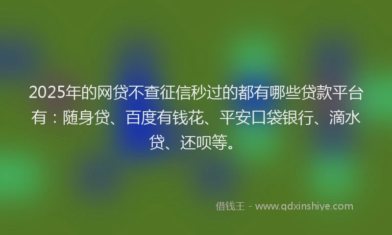 2025年的网贷不查征信秒过的都有哪些贷款平台有：随身贷、百度有钱花、平安口袋银行、滴水贷、还呗等。