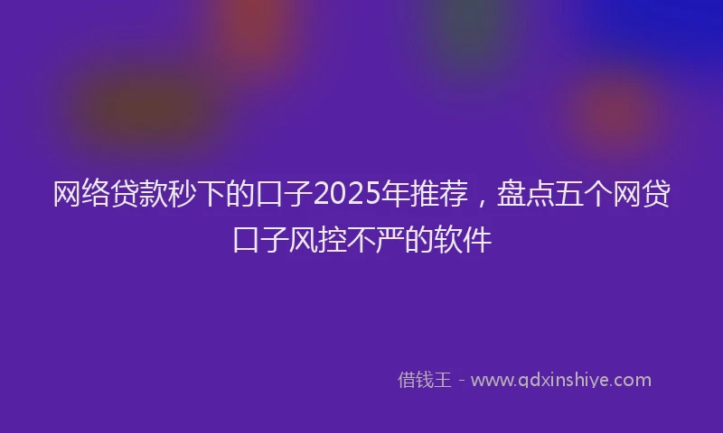 网络贷款秒下的口子2025年推荐，盘点五个网贷口子风控不严的软件