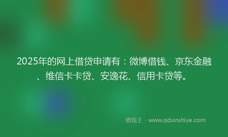 2025年的网上借贷申请有：微博借钱、京东金融、维信卡卡贷、安逸花、信用卡贷等。