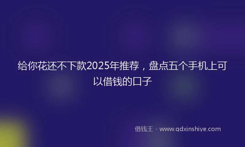 给你花还不下款2025年推荐，盘点五个手机上可以借钱的口子
