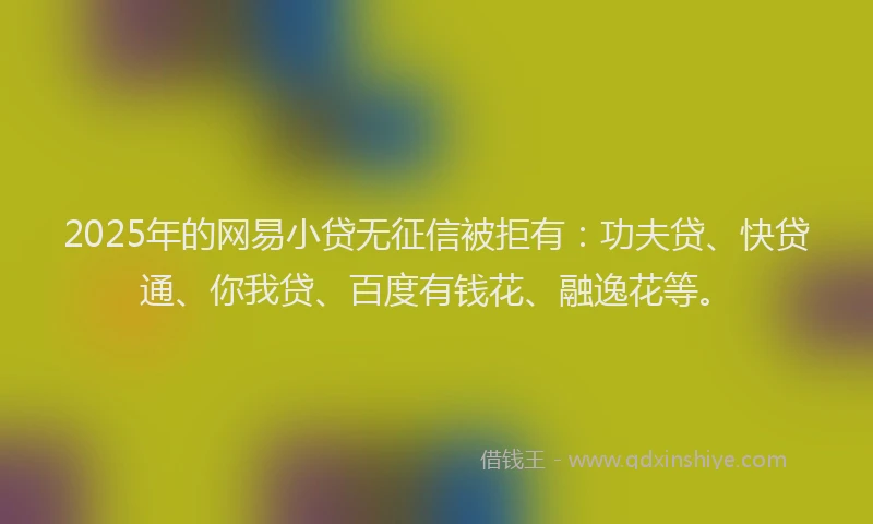 2025年的网易小贷无征信被拒有：功夫贷、快贷通、你我贷、百度有钱花、融逸花等。