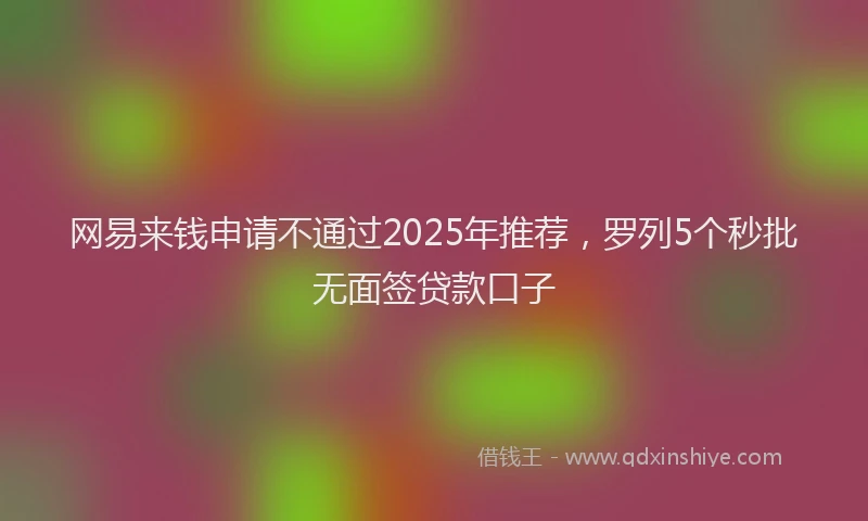 网易来钱申请不通过2025年推荐，罗列5个秒批无面签贷款口子