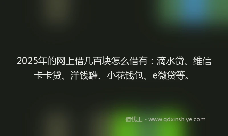 2025年的网上借几百块怎么借有：滴水贷、维信卡卡贷、洋钱罐、小花钱包、e微贷等。