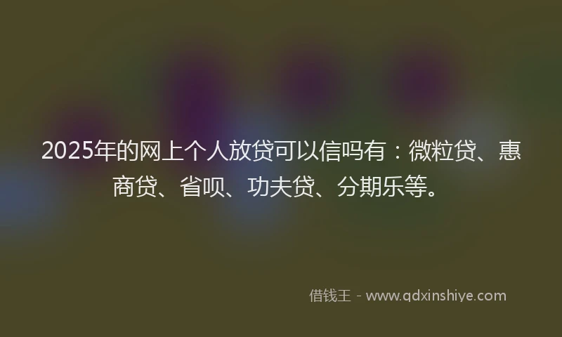 2025年的网上个人放贷可以信吗有：微粒贷、惠商贷、省呗、功夫贷、分期乐等。