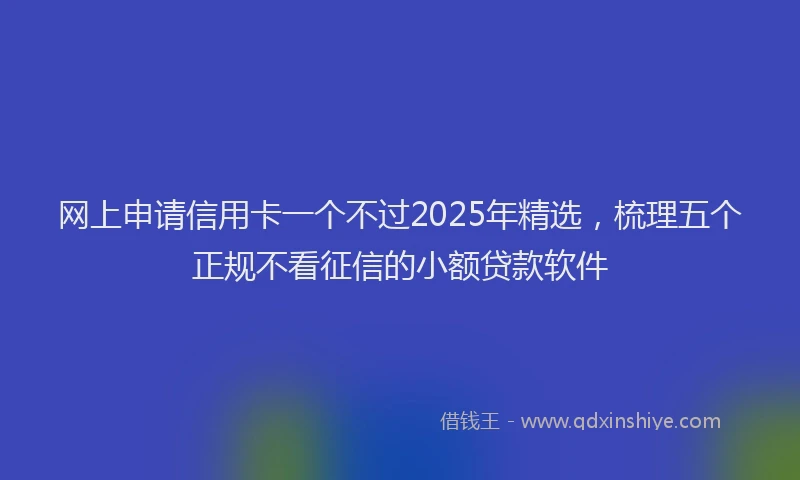 网上申请信用卡一个不过2025年精选，梳理五个正规不看征信的小额贷款软件