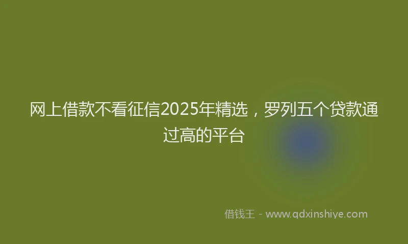 网上借款不看征信2025年精选，罗列五个贷款通过高的平台