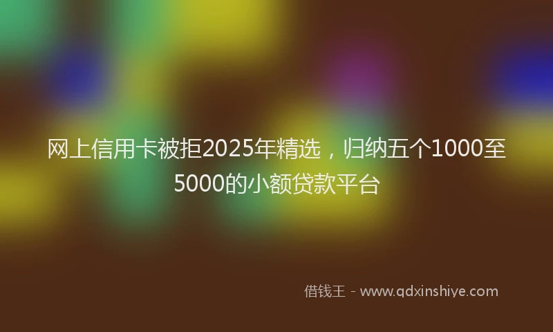 网上信用卡被拒2025年精选，归纳五个1000至5000的小额贷款平台