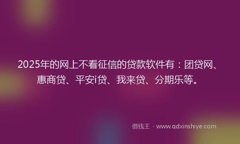2025年的网上不看征信的贷款软件有：团贷网、惠商贷、平安i贷、我来贷、分期乐等。