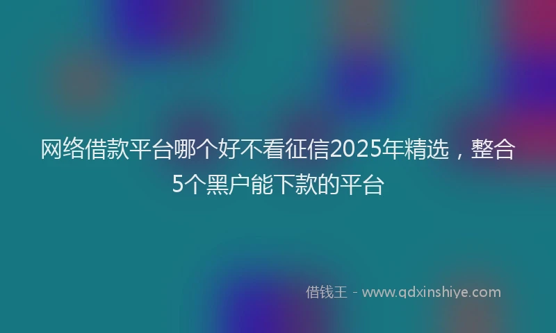 网络借款平台哪个好不看征信2025年精选，整合5个黑户能下款的平台