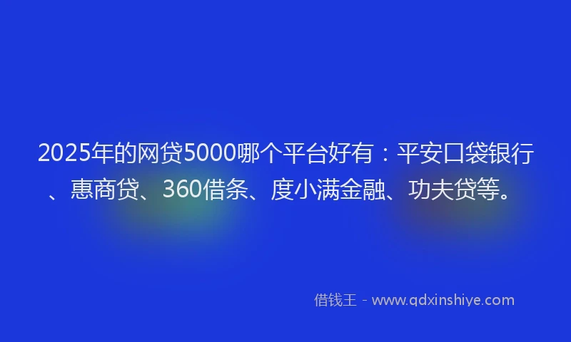 2025年的网贷5000哪个平台好有：平安口袋银行、惠商贷、360借条、度小满金融、功夫贷等。