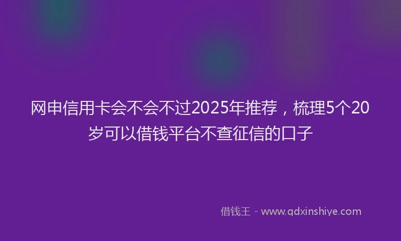 网申信用卡会不会不过2025年推荐，梳理5个20岁可以借钱平台不查征信的口子