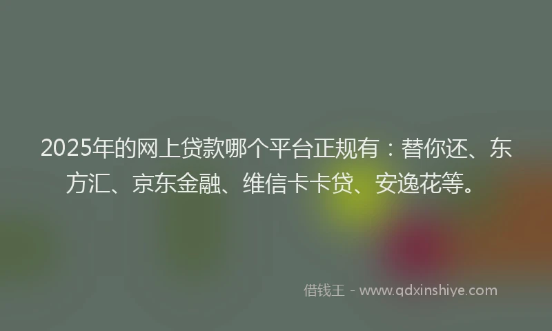 2025年的网上贷款哪个平台正规有：替你还、东方汇、京东金融、维信卡卡贷、安逸花等。