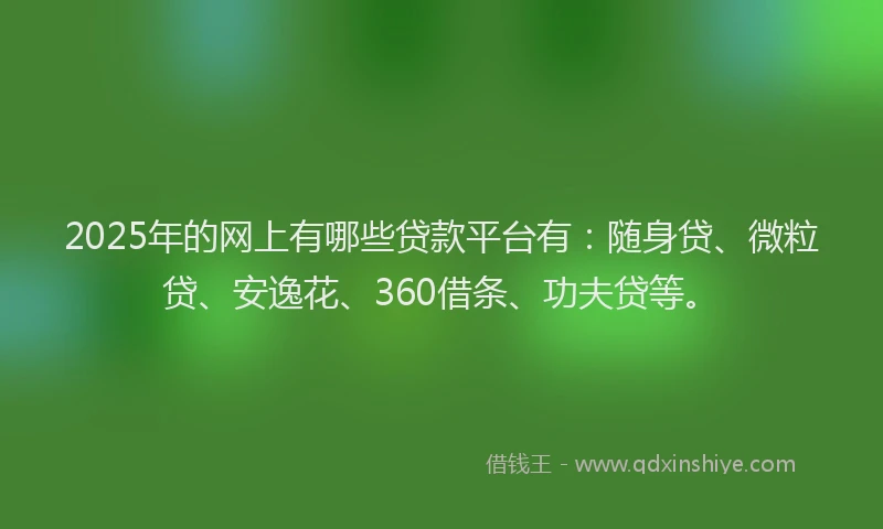 2025年的网上有哪些贷款平台有：随身贷、微粒贷、安逸花、360借条、功夫贷等。