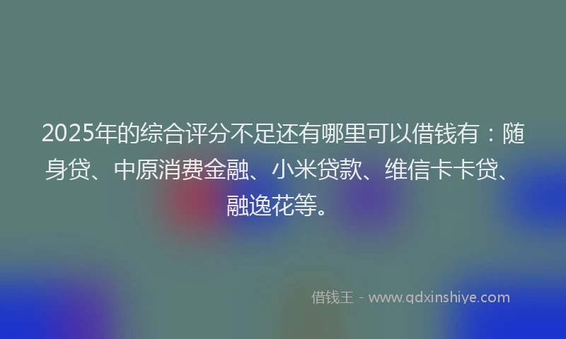 2025年的综合评分不足还有哪里可以借钱有：随身贷、中原消费金融、小米贷款、维信卡卡贷、融逸花等。