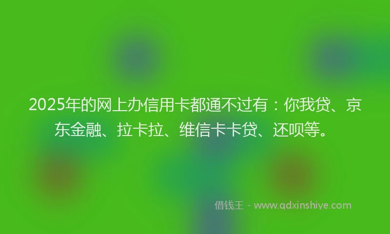 2025年的网上办信用卡都通不过有：你我贷、京东金融、拉卡拉、维信卡卡贷、还呗等。